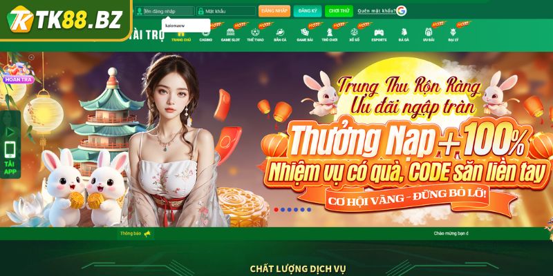 Đăng Nhập TK88 - Hướng Dẫn, Lợi Ích Và Cách Khắc Phục Sự Cố 2 Điền thông tin đăng nhập TK88